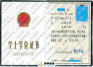 上海大学2003年学位证书