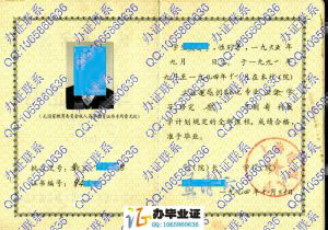 上海电视大学1994年工业电气自动化业余大专毕业证书