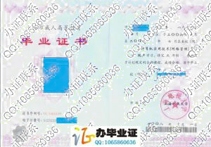 上海电视大学2008年计算机实用技术（网络管理）脱产大专毕业证