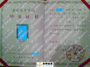 宁波天一职业技术学院2010年大专毕业证