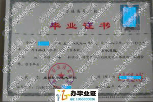 咸阳职业技术学院2012年大专毕业证