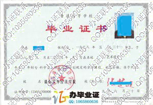 湖南涉外经济学院2009年大专毕业证