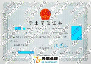 湖南涉外经济学院2009年学位证书