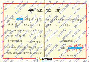 上海海运学院1991年海洋船舶驾驶本科毕业证