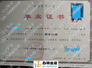广州涉外经济职业技术学院2007年大专毕业证