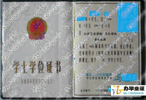 南京艺术学院2003年学位证书