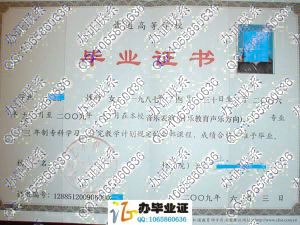 河北艺术职业学院2009年大专毕业证