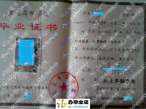私立华联学院2003年毕业证
