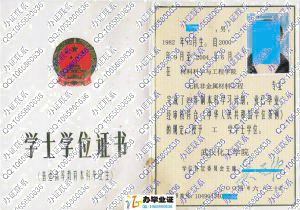 武汉化工学院2004年学位证书