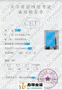北京石油化工学院2009年英语四级成绩单