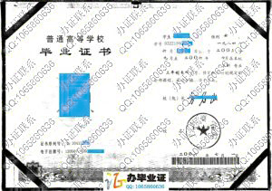 上海商学院2006年大专毕业证