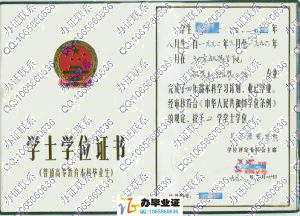 北京服装学院1996年老版学位证