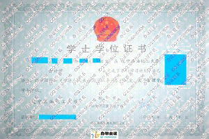 辽宁石油化工大学2009年成人教育学位证书