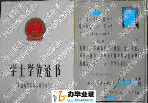 桂林医学院2007年学士学位证