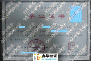 重庆航天职业技术学院2013年大专毕业证