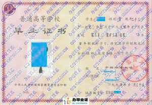 中国地质大学1994年本科毕业证