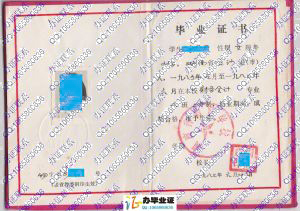 湖南省物资学校1987年财务会计中专毕业证