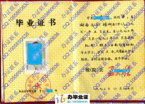 湖南省轻工业专科学校1993年工业电气自动化大专毕业证