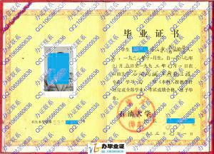 石油大学（华东）1993年热能工程本科毕业证