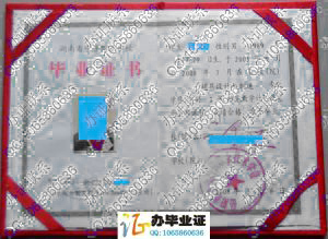 岳阳市建设科技职业技术学校2008年职业中专毕业证