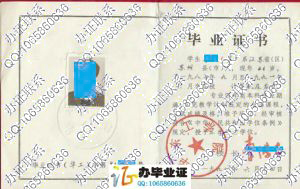 华东工学院1991年计算机及应用专业本科