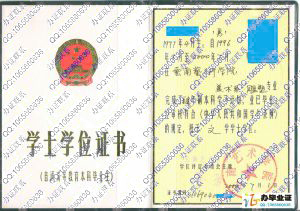 云南艺术学院2000年学位证