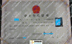 上海外国语大学2010年成人学位证