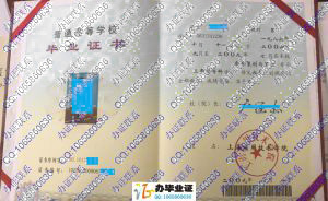 上海应用技术大学2009年毕业证