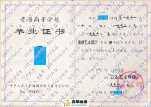 云南艺术学院1996年装璜艺术设计本科毕业证