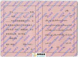新版新疆高中