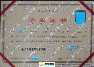 南京审计学院金审学院2010年专科起点本科毕业证