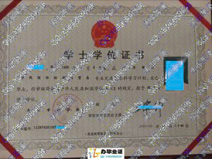 南京审计学院金审学院2010年学位证