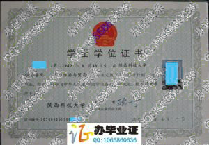 陕西科技大学镐京学院2011年学位证样本
