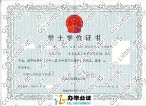 中国民用航空飞行学院2011年学士学位证