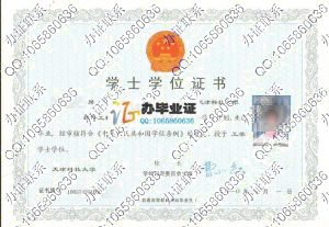 天津科技大学2010年学士学位证