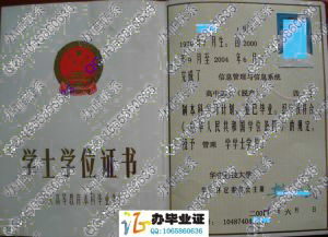 华中科技大学2004年成人教育学位