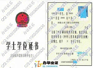 华中科技大学2006年学位证