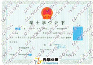 华中科技大学08年成人网络教育学位证