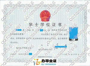 桂林电子科技大学2010年学位证