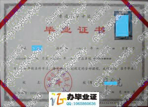 杭州电子科技大学2008年毕业证书