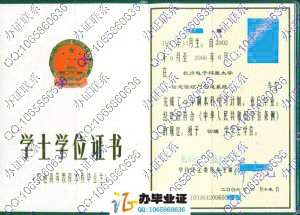杭州电子科技大学2006年学位证