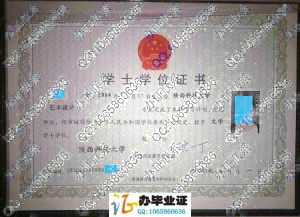陕西科技大学2009年学位证
