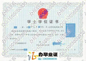 北京信息科技大学2009年学位证
