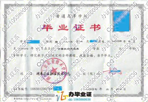 湖南工业职业技术学院2007年毕业证样本