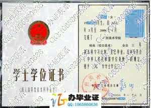 广州美术学院老式成人学位证样本