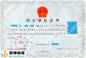 广州美术学院2009年自考学位证