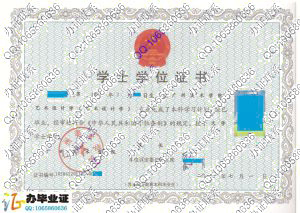 广州美术学院2011年学士学位证
