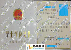 广州中医药大学2004年学位证