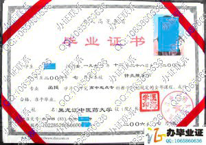 黑龙江中医药大学2006年函授毕业证