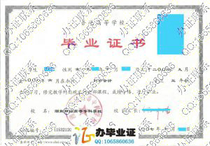 湖南财经高等专科学校2007年毕业证样本